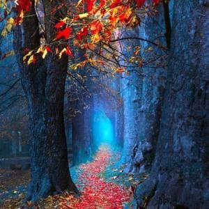 Meet your Posher, Kaitlin